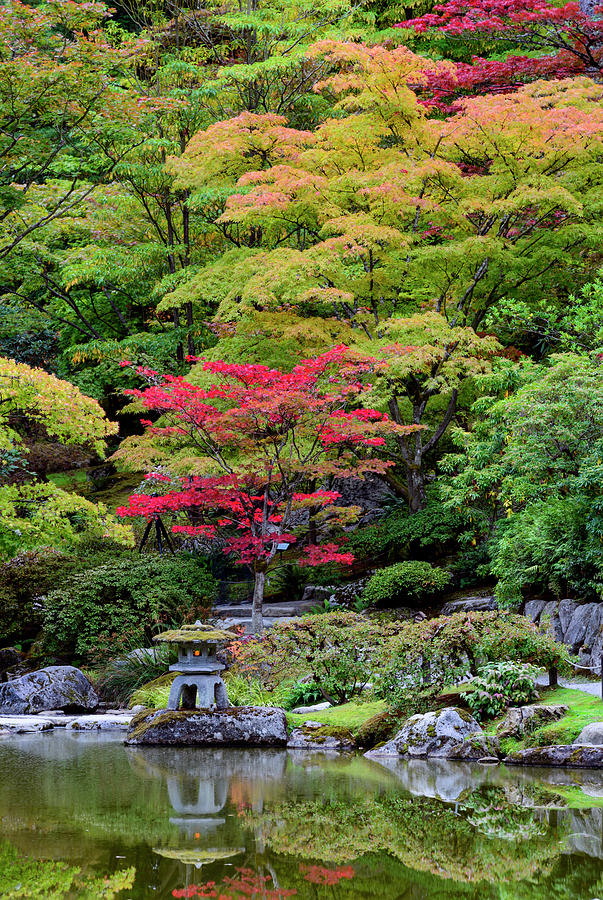 Japanese Garden, Seattle #11 Digital Art by Michael Lee