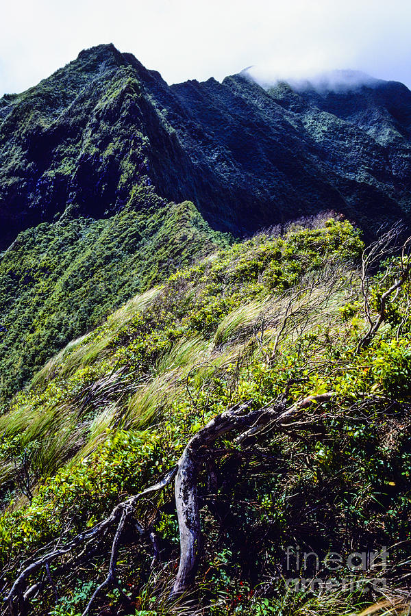 Koolau Mountains 7 Photograph by Thomas R Fletcher