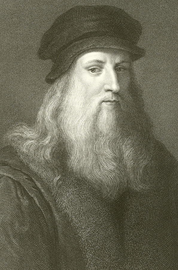 Leonardo Da Vinci Drawing - Leonardo Da Vinci by English School
