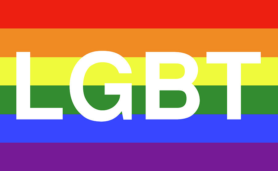 trans and gay flag bg