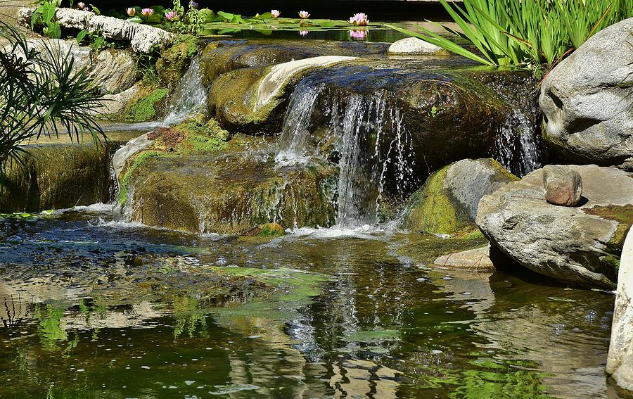 7 Lily Pond Waterfall I Photograph by Linda Brody