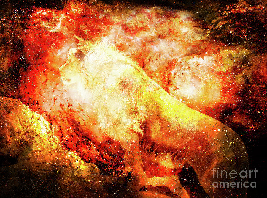 Lion In The Cosmic Space Lion Photos And Graphic Effect Mixed Media By Jozef Klopacka