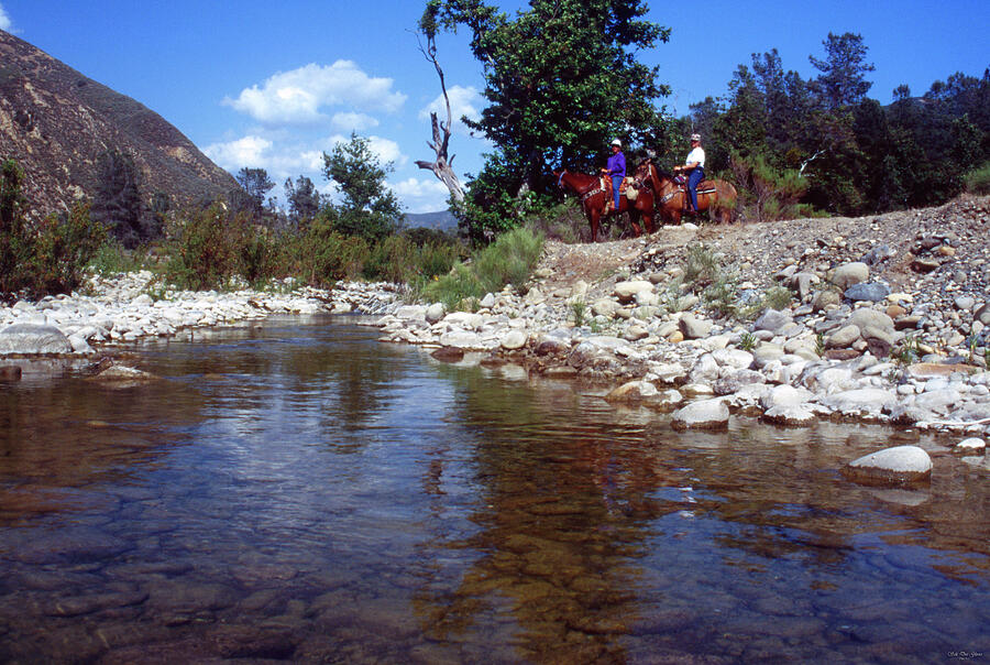 Lower Sisquoc River - San Rafael Wilderness Photograph by Soli Deo ...