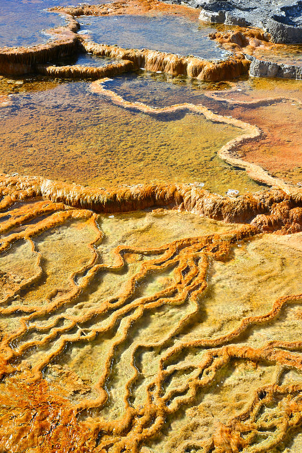 Mammoth Hot Springs #7 Photograph by Ray Mathis