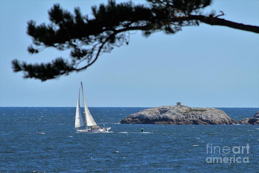 Marblehead MA #7 Photograph by Donn Ingemie
