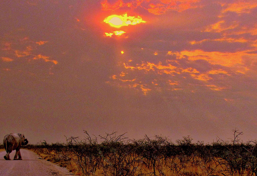 Namibia #7 Photograph by Paul James Bannerman