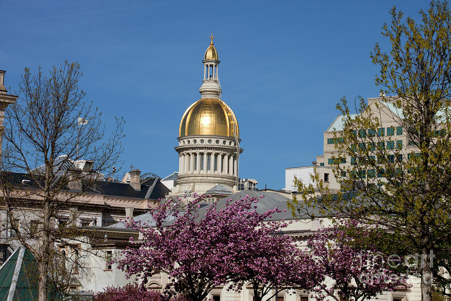 New Jersey State Capitol Building in Trenton #8 Photograph by Anthony Totah