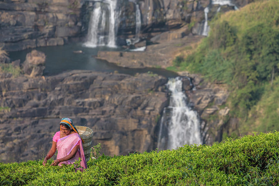 Nuwara Eliya - Sri Lanka #7 Photograph by Joana Kruse