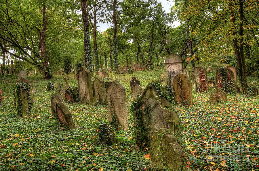 Old Jewish Cemetery #7 Photograph by Michal Boubin