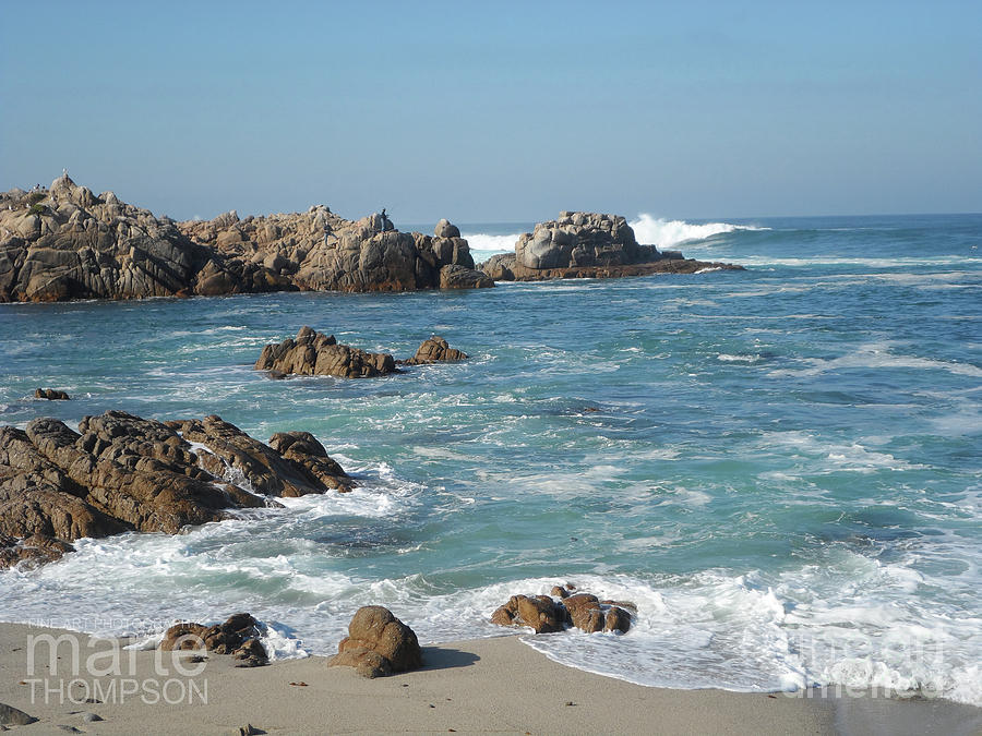 Pacific Grove Photograph - Pacific Grove #7 by Marte Thompson