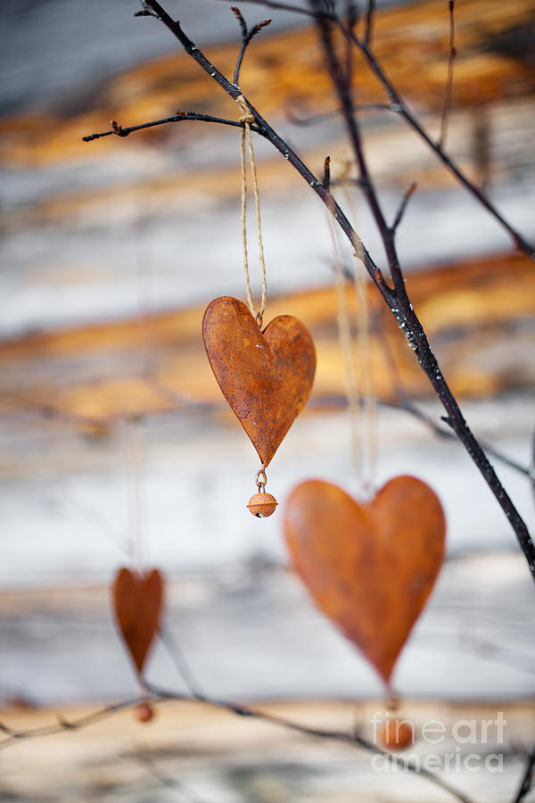 Rustic hearts #7 Photograph by Kati Finell