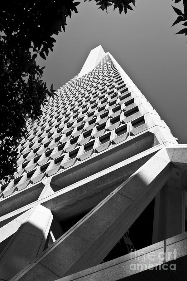 San Francisco Transamerica Pyramid Building #7 Photograph by ELITE IMAGE photography By Chad McDermott