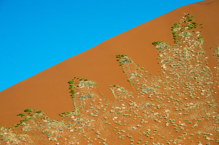 Nature Photograph - Sand Dune, Sossusvlei, Namib Desert #7 by Panoramic Images