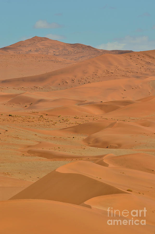 Sand Dunes In Sossusvlei #7 Photograph by Francesco Tomasinelli