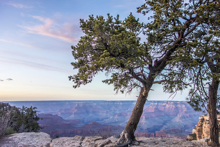 Scenery Around Grand Canyon In Arizona #7 Photograph by Alex Grichenko