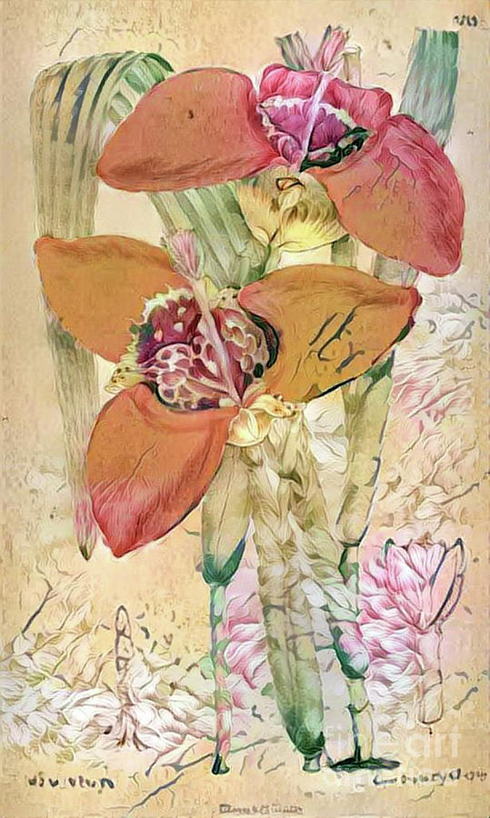 Shabby Chic Botanical Flowers #7 Digital Art by Amy Cicconi