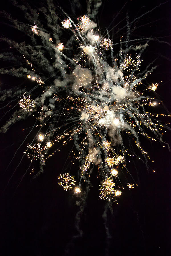 Shining Colorful Firework Over A Dark Night Sky #7 Photograph by Gina Koch