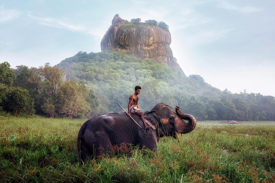 Sigiriya - Sri Lanka #7 Photograph by Joana Kruse