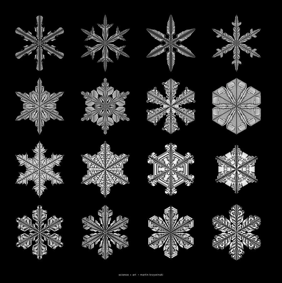Snowflake simulation #7 Digital Art by Martin Krzywinski