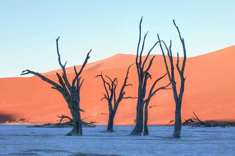 Sossusvlei - Namibia #7 Photograph by Joana Kruse