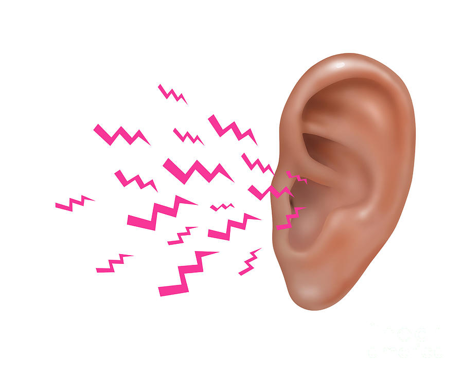 Illustration Photograph - Sound Entering Human Outer Ear #7 by Gwen Shockey
