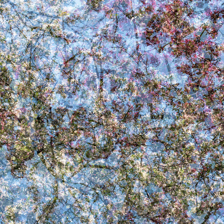 Spring Season - Inspired by Jackson Pollock #8 Photograph by Shankar Adiseshan