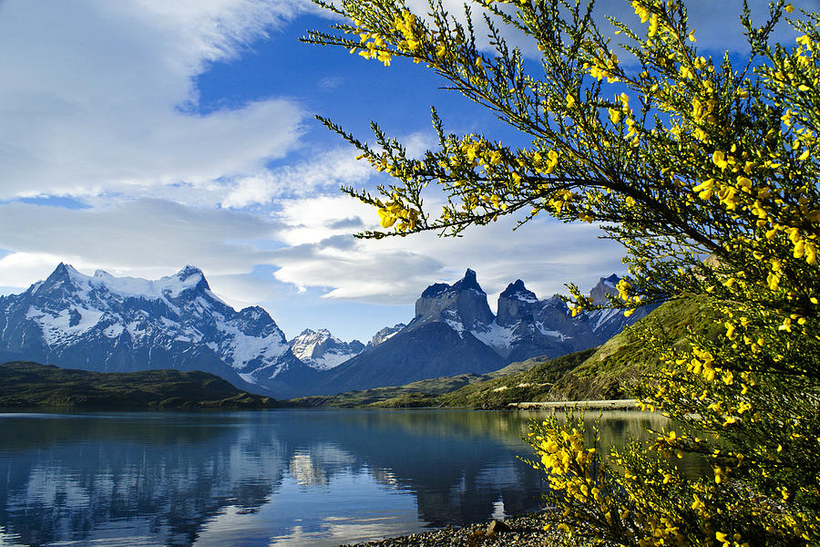 Springtime in Torres del Paine #7 Photograph by Michele Burgess