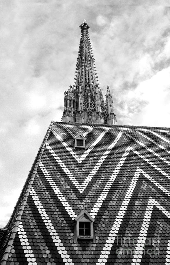 St Stephens Cathedral Vienna in Black and White #8 Photograph by Angela Rath
