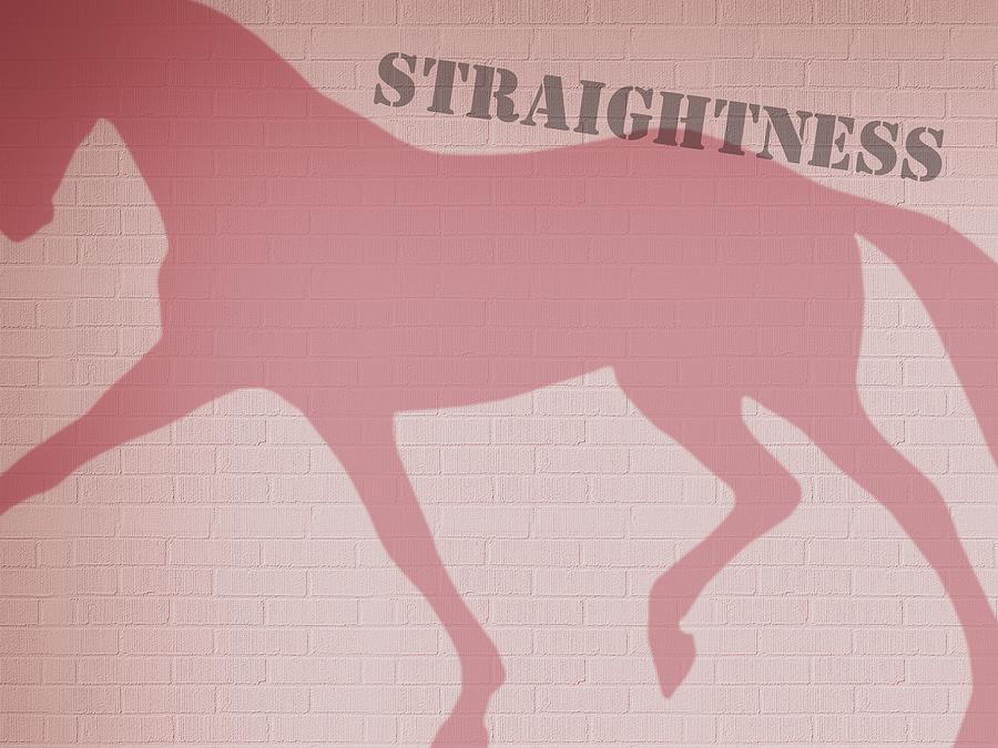Straightness Graffiti Photograph by Dressage Design