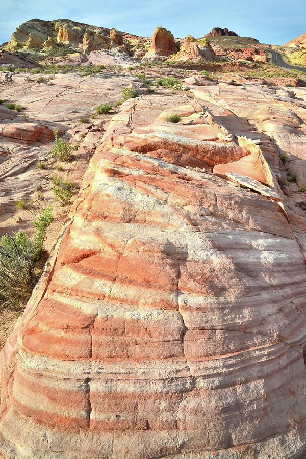 Striped Sandstone in Valley of Fire #4 Photograph by Ray Mathis