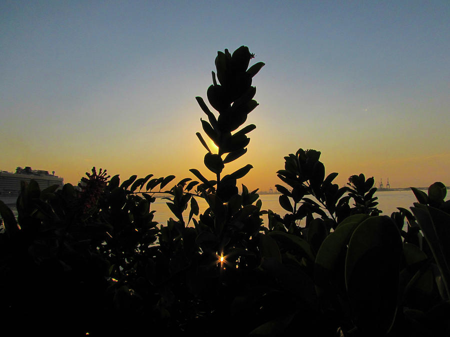 Sunset Photograph - Sunset #7 by Cesar Vieira