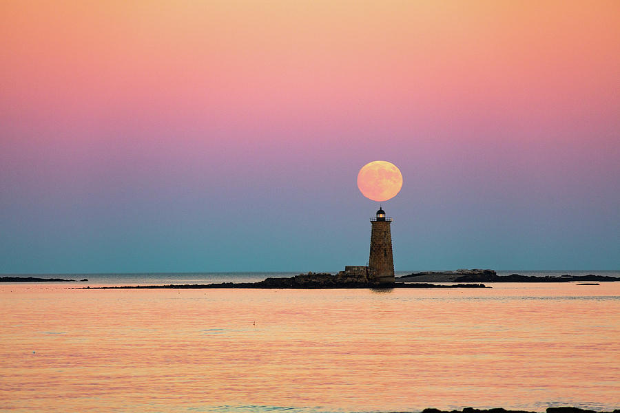 Super Moon 2016 by Robert Clifford Super Moon 2016 by Robert Clifford