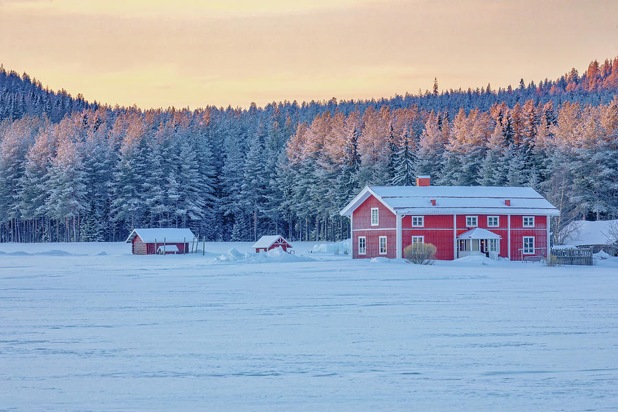 Swedish Lapland #7 Photograph by Joana Kruse