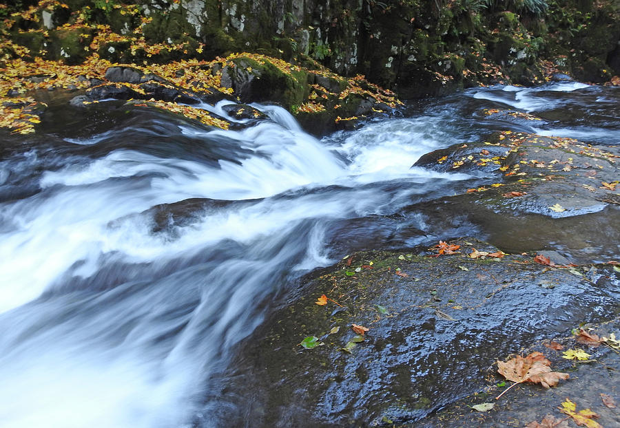Sweet Creek Falls Photograph by Lindy Pollard Fine Art America