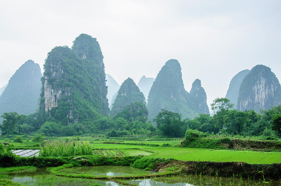 The beautiful karst rural scenery in spring #7 Photograph by Carl Ning