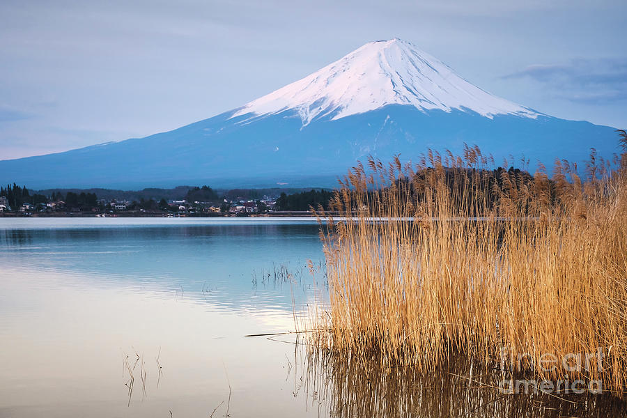 The Mount Fuji In Japan Photograph
