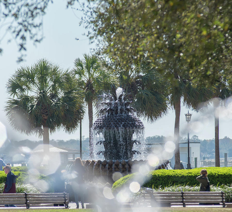 The Pineapple Fountain, at the Waterfront Park in Charleston, So #7 Photograph by Alex Grichenko
