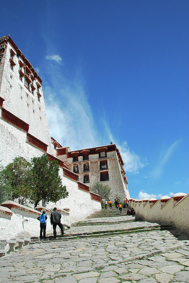 The Potala Palace #7 Photograph by Carl Ning