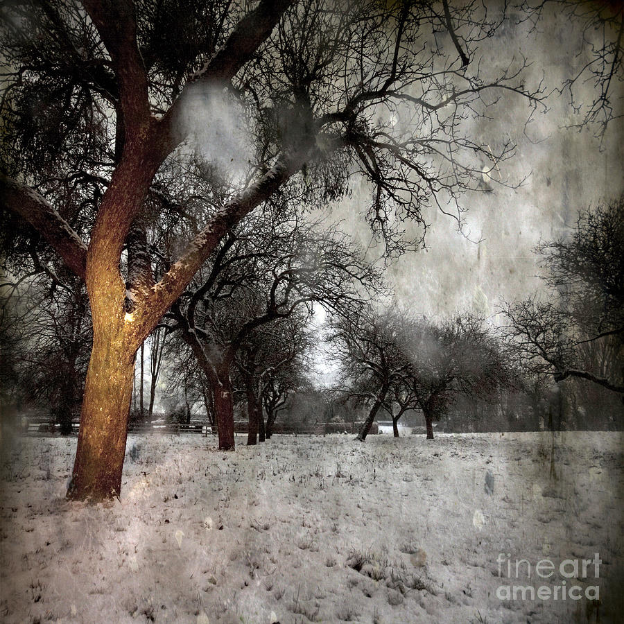 Winter Photograph - The Winter Time #7 by Ang El