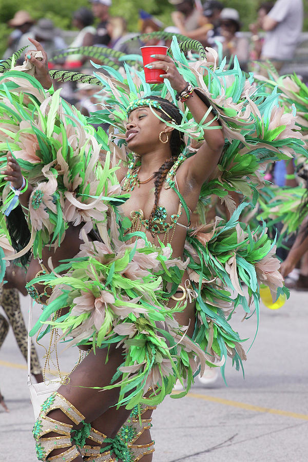 Toronto Caribbean Festival Photograph by Hugh McClean Fine Art America