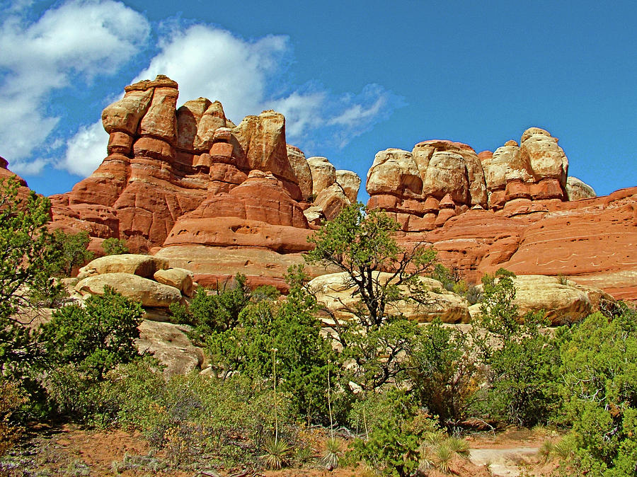 Trail to Chesler Park Viewpoint in  Needles District in  Canyonlands National Park, Utah #7 Photograph by Ruth Hager