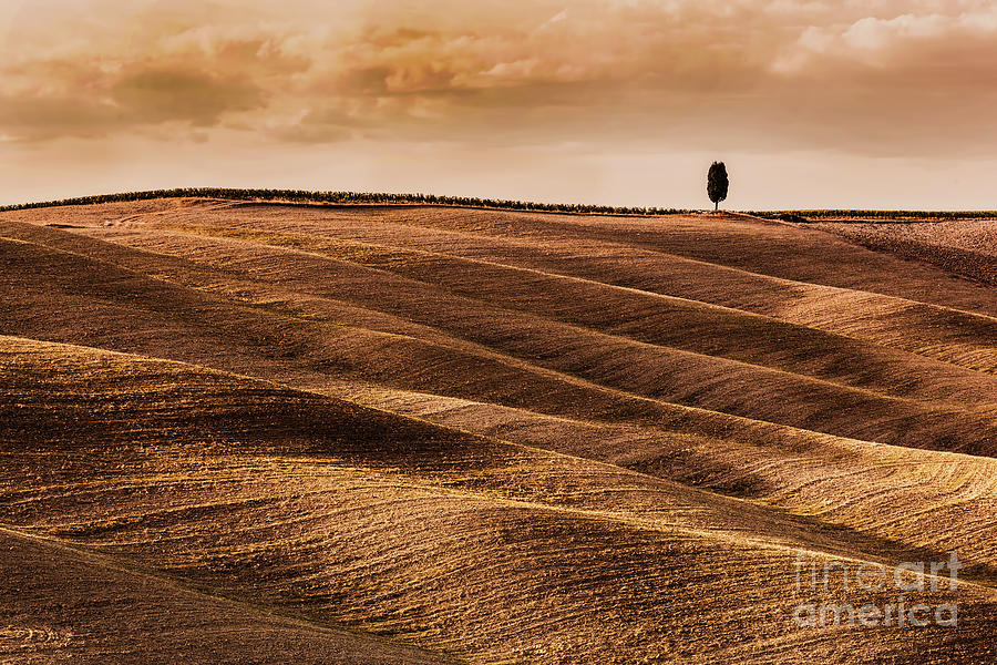 Tuscany fields autumn landscape, Italy. Harvest season #7 Photograph by Michal Bednarek