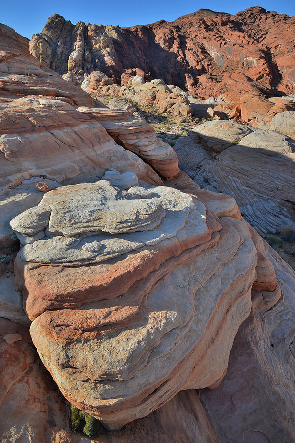 Valley of Fire Back Country #7 Photograph by Ray Mathis