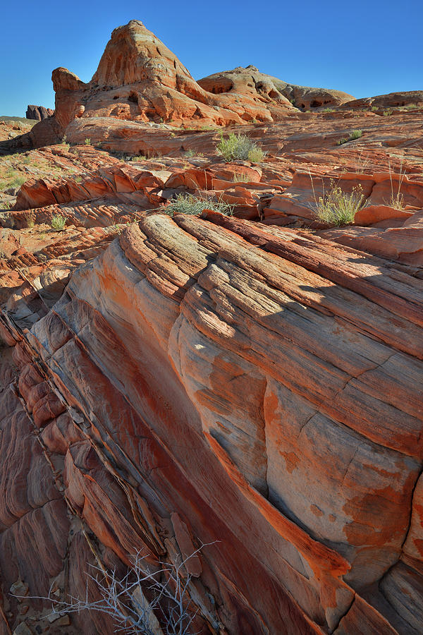 Valley of Fire Colorful Sandstone #7 Photograph by Ray Mathis