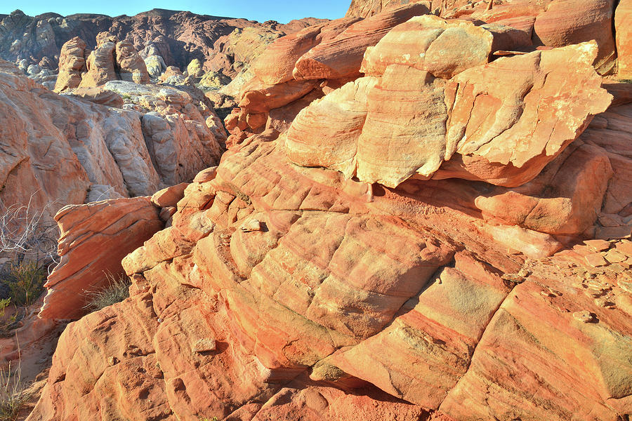 Valley of Fire High Country #8 Photograph by Ray Mathis