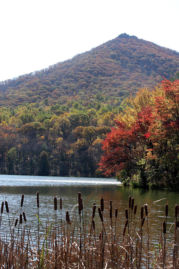 View of Abbott Lake and Sharp Top in autumn #7 Photograph by Emanuel Tanjala