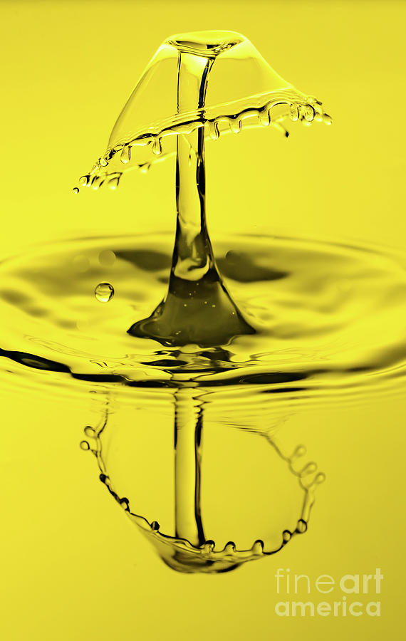 Water Drop Collisions  Photograph by Colin Rayner