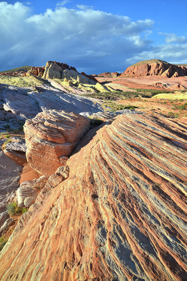 Waves of Color in Valley of Fire #12 Photograph by Ray Mathis