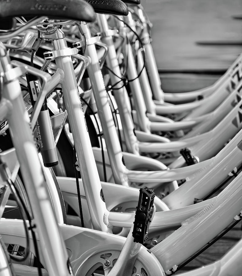 7 White Bikes - Urban Rental - bw Photograph by Greg Jackson