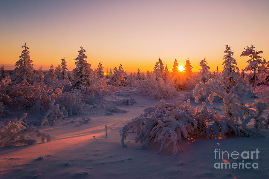 Winter Evening Landscape with forest, sunset and cloudy sky. Photograph ...